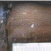 Longitudinal cracks adjacent to weld